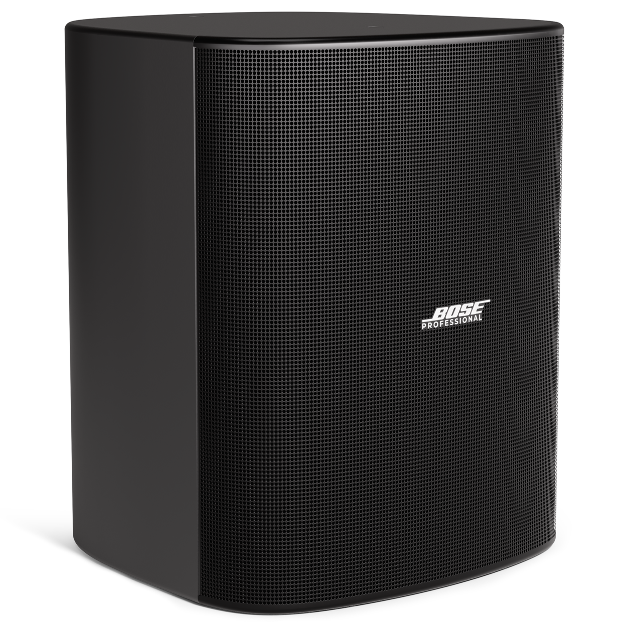 Bose Professional DesignMax DM12SE 12-inch surface-mount loudspeaker in black for commercial audio