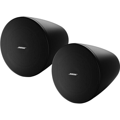 Bose DesignMax DM5P 5.25