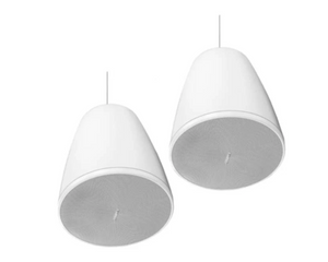 Bose Professional DesignMax DM5P 5.25-inch Pendant Loudspeakers - White (Pair)