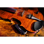 Bose Wireless ¼” Instrument Transmitter for S1 Pro+ PA System